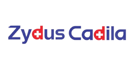 13-removebg-preview (1)